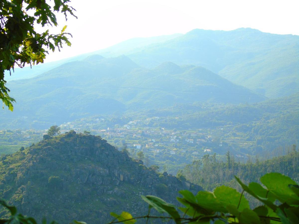 Casa Da Carvalheira Villa Parada  Luaran gambar